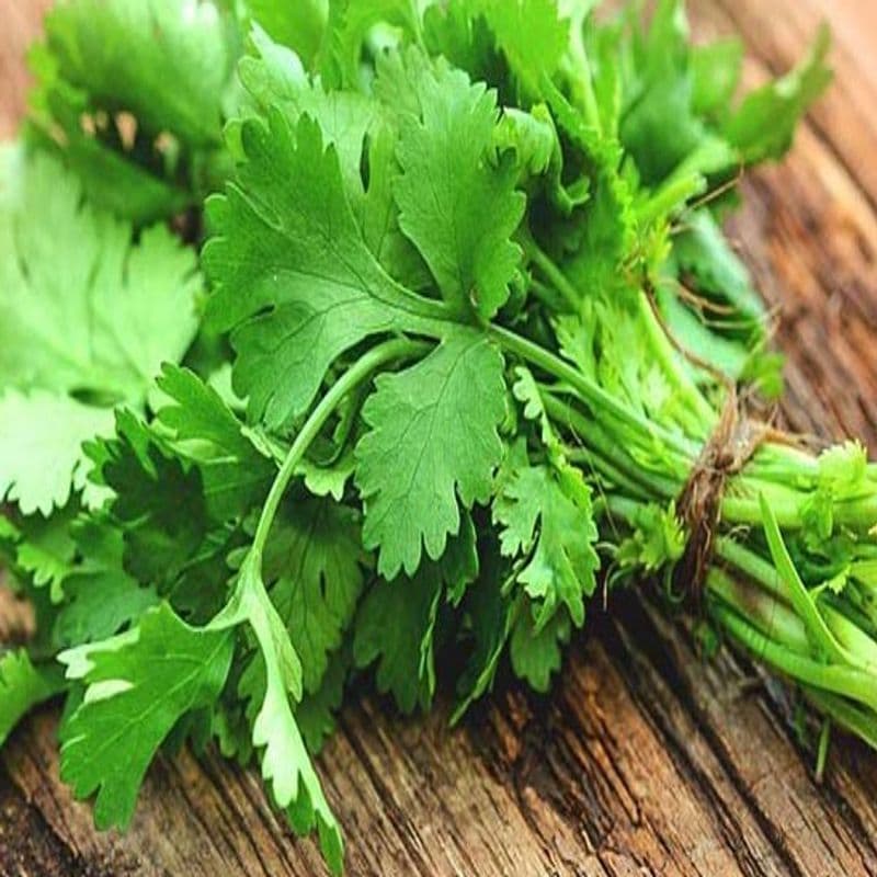 گیشنیز