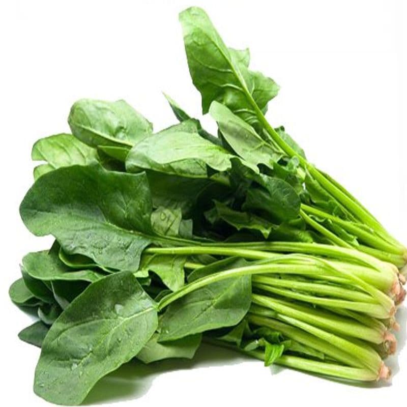 اسفناج