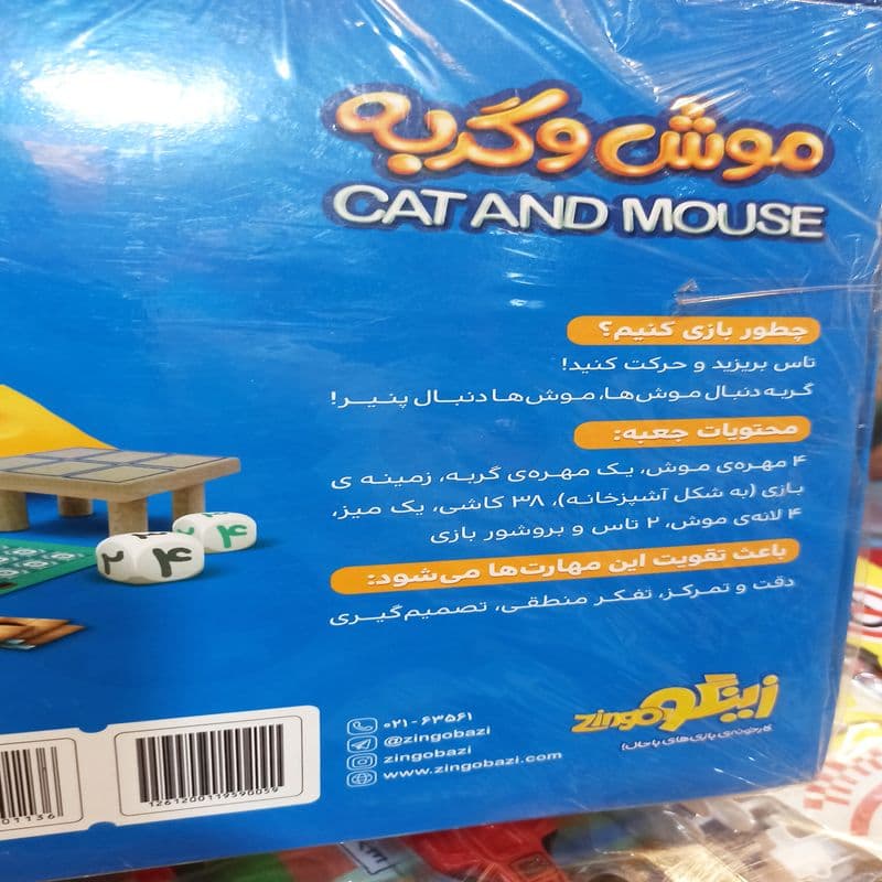 بازی فکری موش گربه